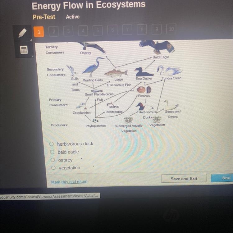 Which organism is a primary consumer in the food web below?Chesapeake Bay Waterbird-example-1