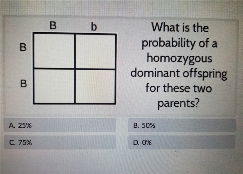 What is the probability of a dominant offspring for these two parents? A. 25% B. 50% C-example-1