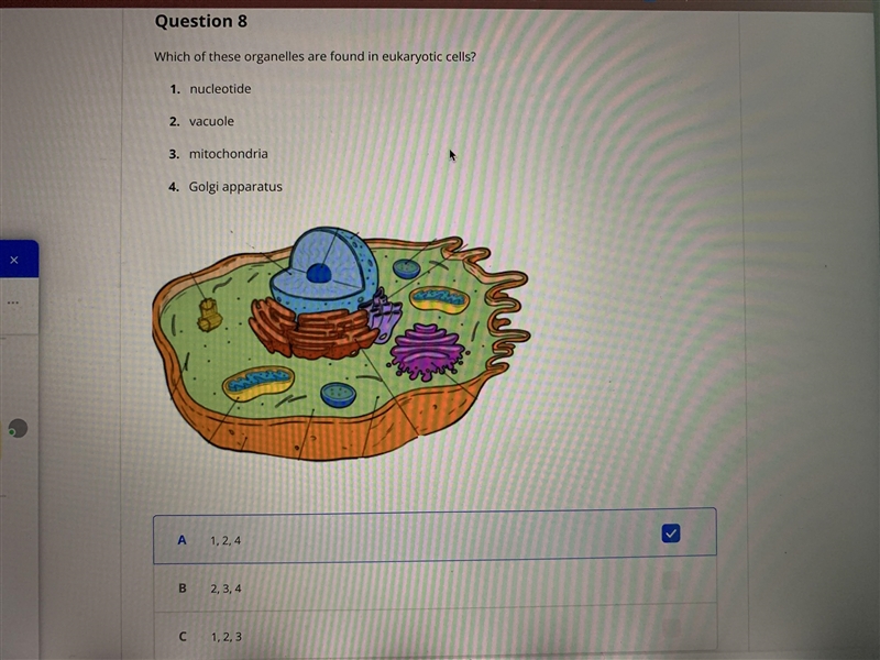 I need help with these questions-example-1