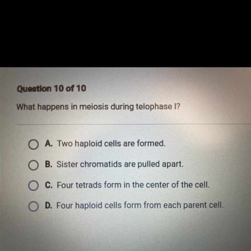 What happens in meiosis during telephase I-example-1