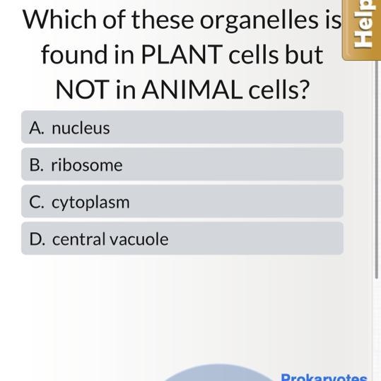 Which of these organelles is found in plant cells but not in animal cells-example-1