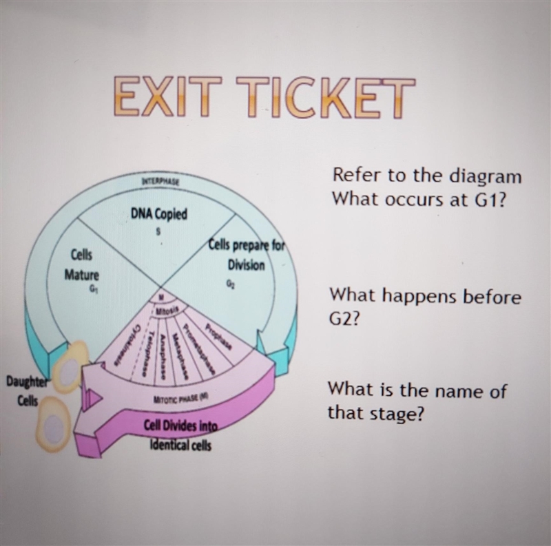 Refer to the diagram What occurs at G1? What happens before G2? What is the name of-example-1