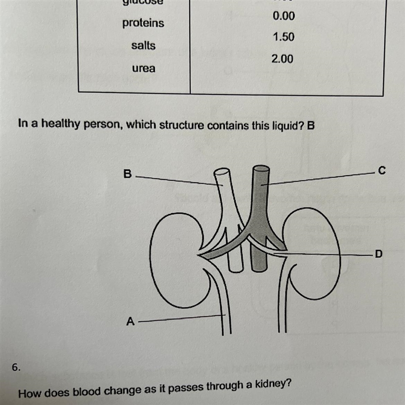 In a healthy person, which structure contains this liquid? B PLEASE HELPPPPP-example-1