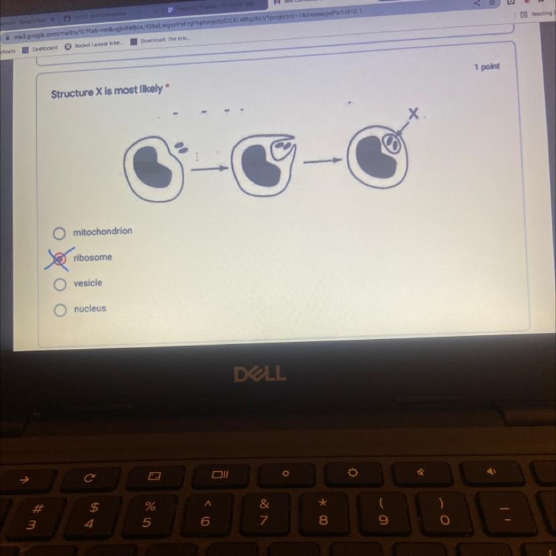 Structure X is most likely-example-1