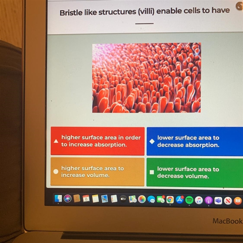 Bristle like structures (villi) enable cells to have-example-1