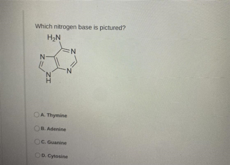 Which nitrogen base is pictured? A. Thymine B. Adenine C. Guanine D. Cytosine-example-1