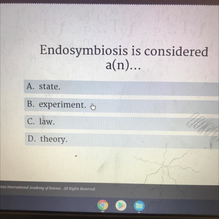 Endosymbiosis is considered a(n)... A. state. B. experiment. C. law. D. theory.-example-1