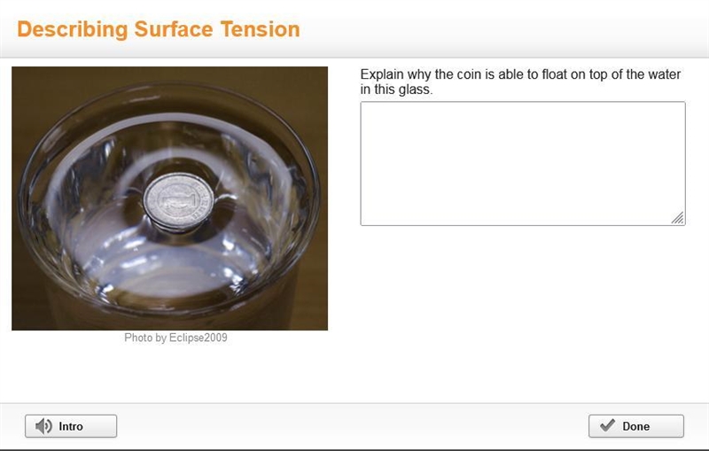 A coin floats on the top of a glass of water. Explain why the coin is able to float-example-1