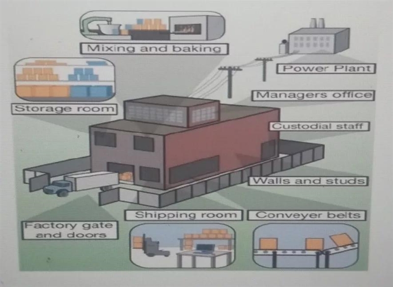 Relate the identified parts and function of the cell to the given parts of the factory-example-1