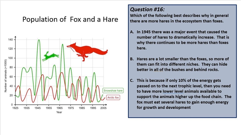 Which of the following best describes why in general there are more hares in the ecosystem-example-1