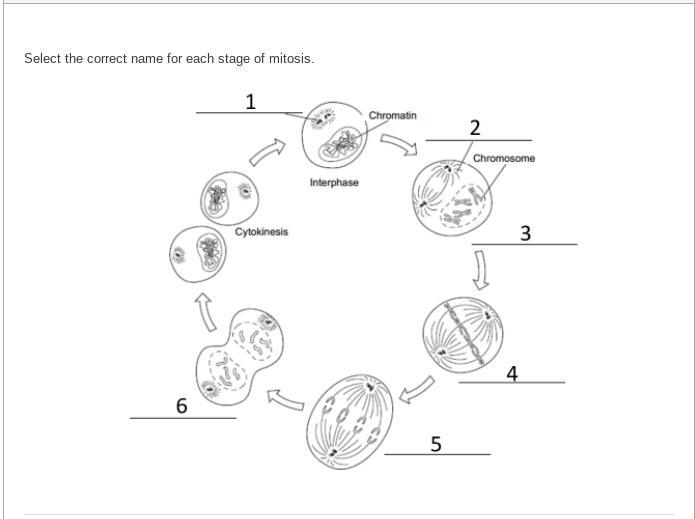 Can someone help me with this-example-1