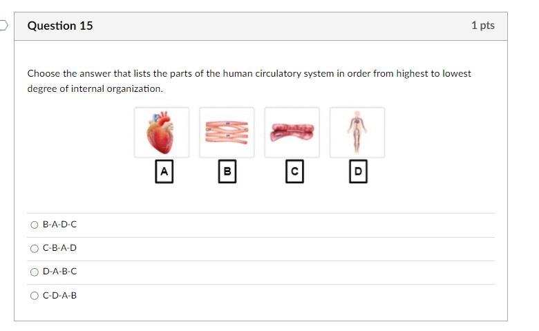 Choose the answer that lists the parts of the human circulatory system in order from-example-1