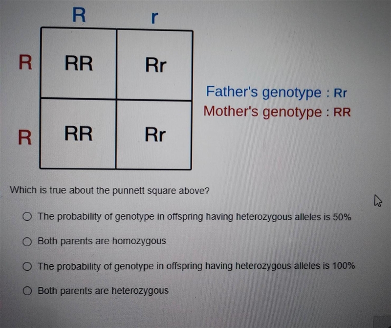 R r R RR Rr Father's genotype : Rr Mother's genotype : RR R RR Rr W Which is true-example-1