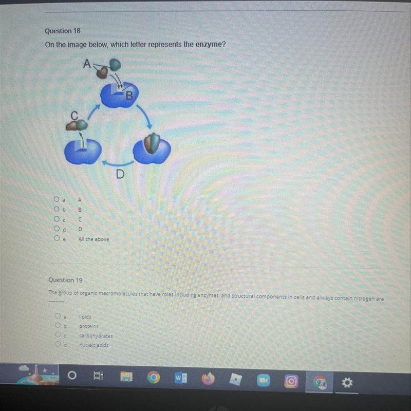 PLEASE HELP !!!! ANSWER BOTH QUESTIONS-example-1