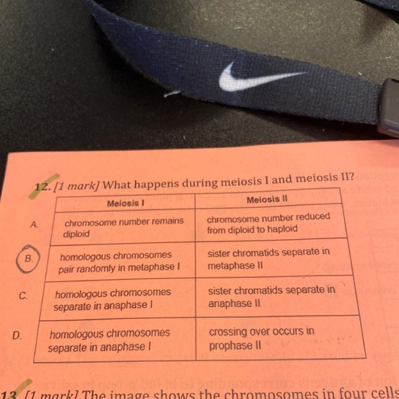 What happens during meiosis I and meiosis II?-example-1