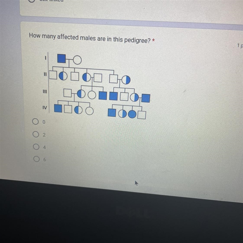 How many affected males are in this pedigree? * O - 0 0 0 || 0 O 0 2 4 6 O O O₁ 00 DO-example-1