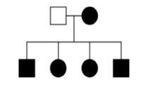 A student studies an inheritance shown in the pedigree. The shaded figures represent-example-1