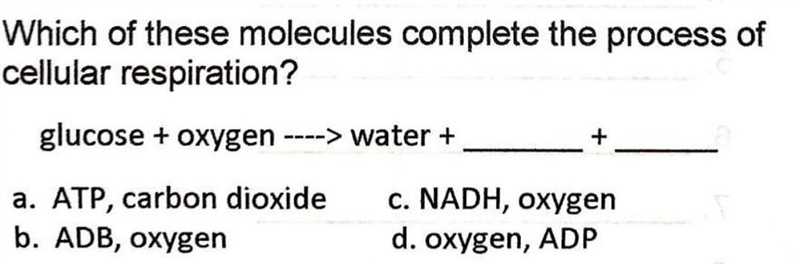 Someone pls help me with this​-example-1