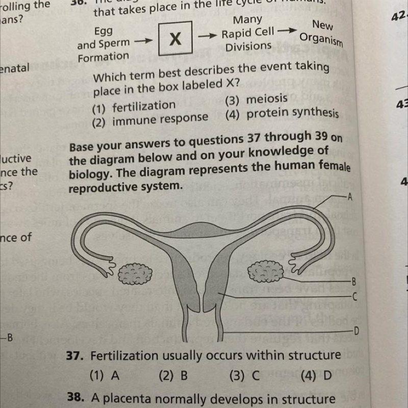 Can someone please help with number 37-example-1