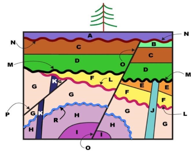 PLEASE HELP! which came first P or K? (image attached)-example-1