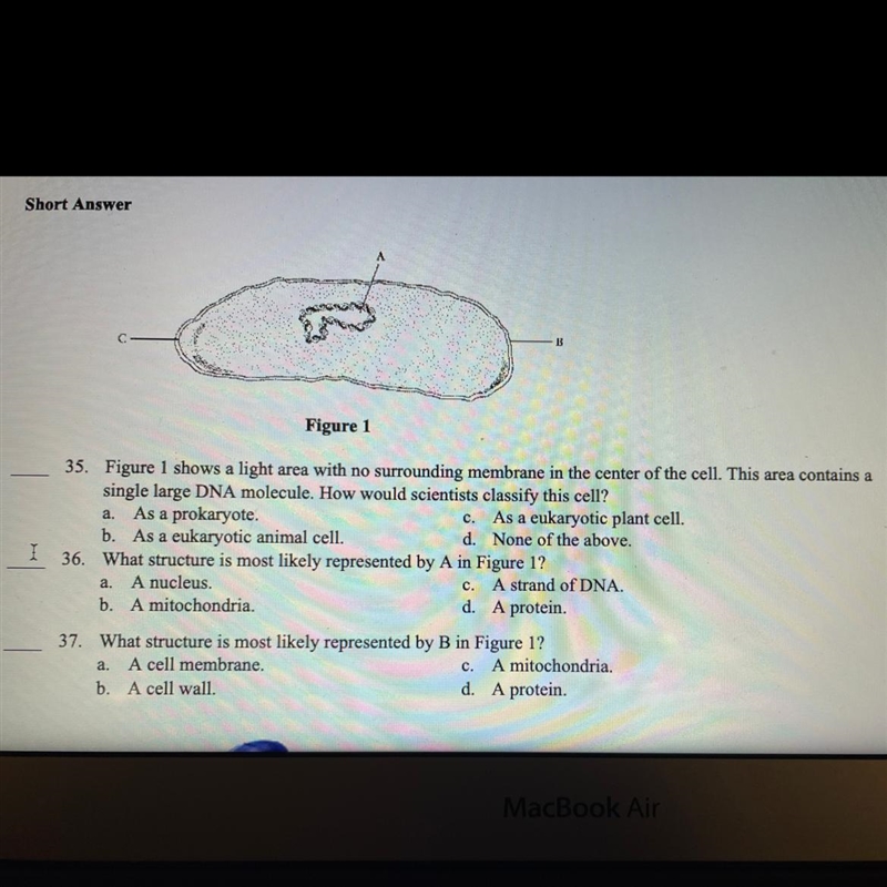 Please help me with this-example-1