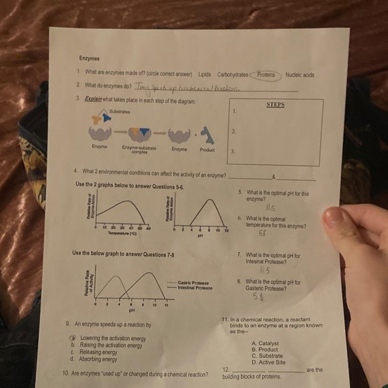 I need help on all of these-example-1