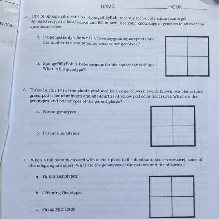 Monohybrid crosses word problems and tables-example-1