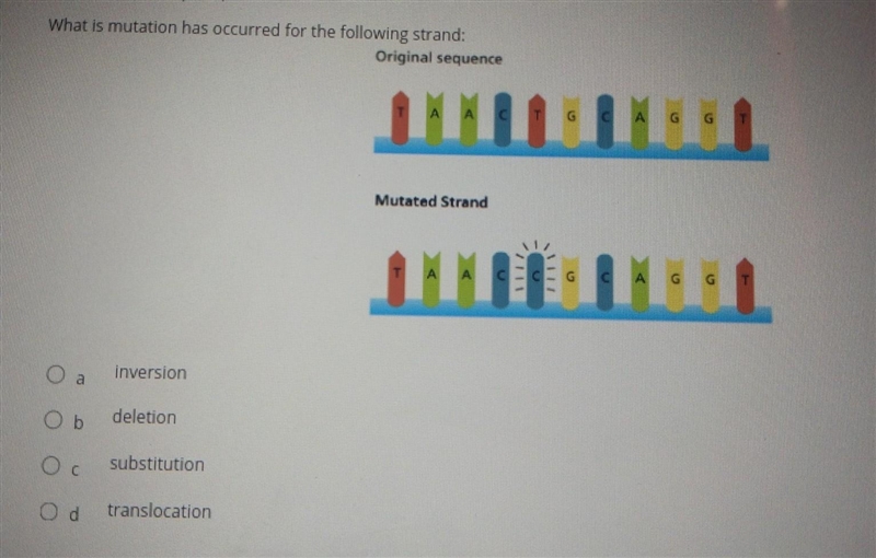 What is mutation has occurred for the following strand.​-example-1