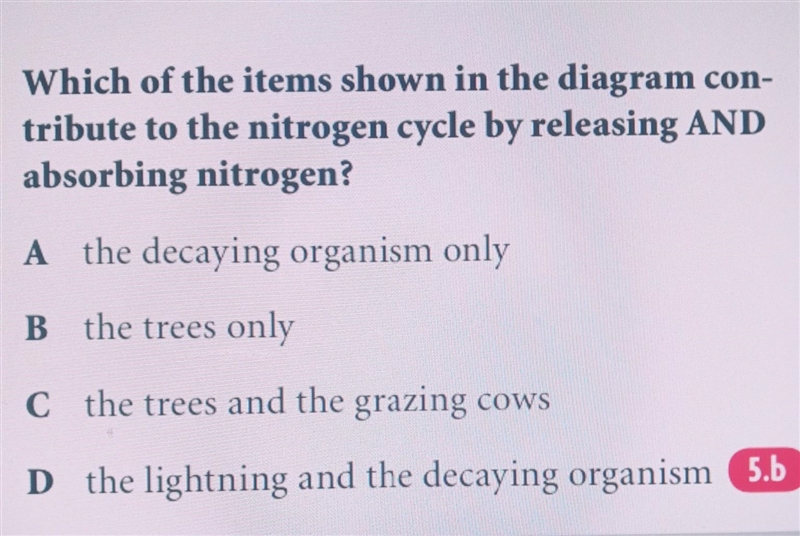 Which of the items shown in the diagram con- tribute to the nitrogen cycle by releasing-example-1