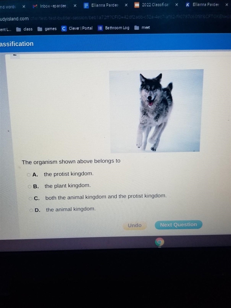 The organism shown above belongs to A. the protist kingdom. B. the plant kingdom. C-example-1