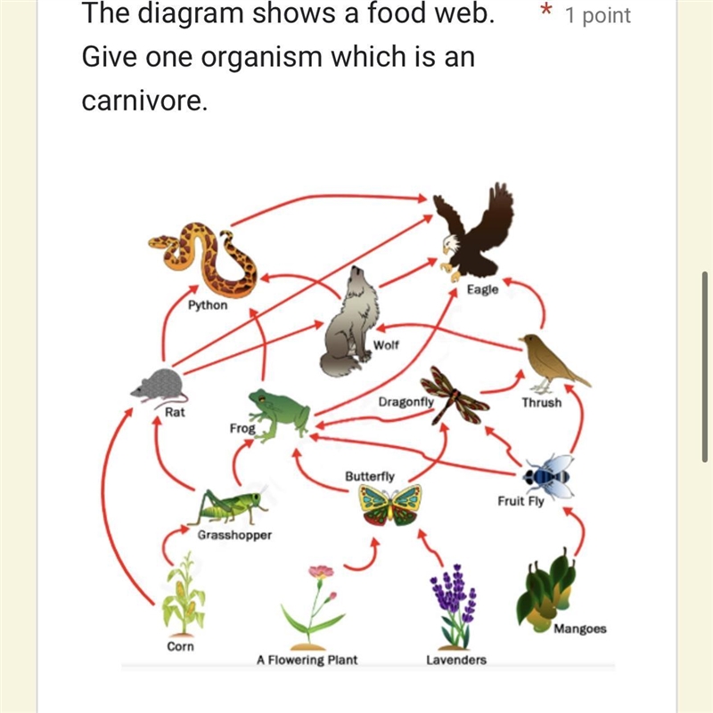 Pls help me with science pls-example-1