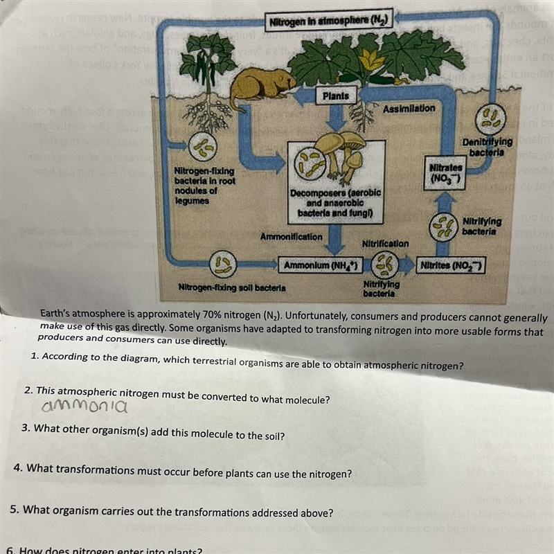 I need help with this please-example-1