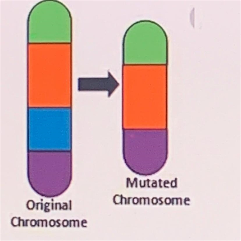 Using the picture below determine the type of mutation that has occurred. Mutated-example-1