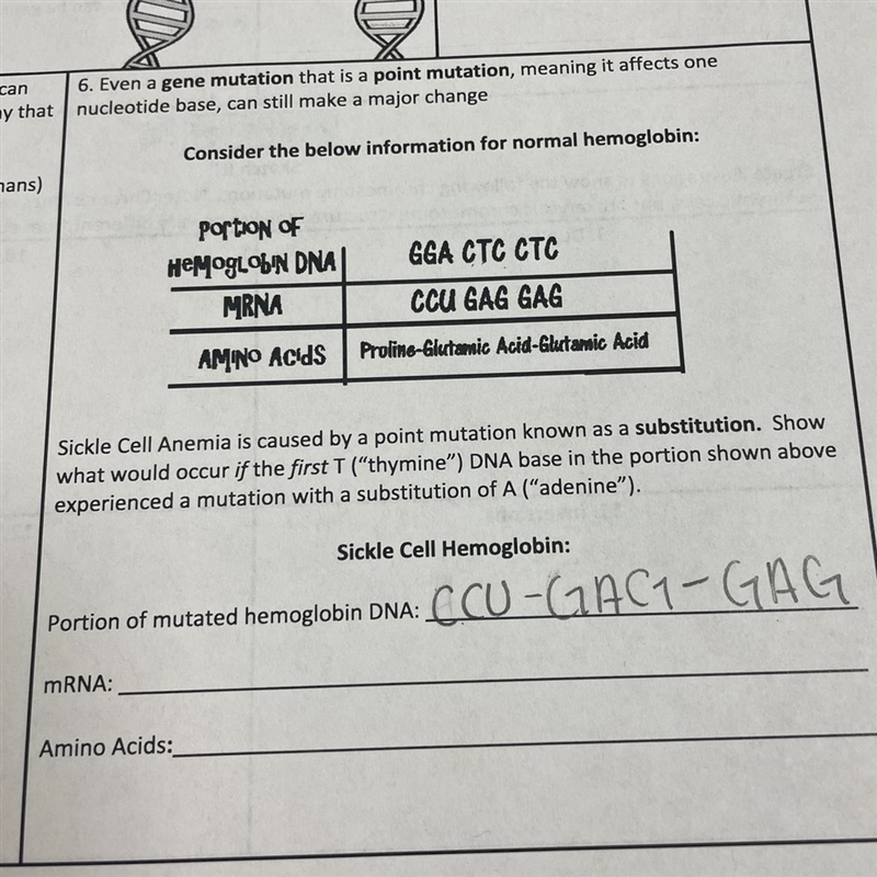 N 6. Even a gene mutation that is a point mutation, meaning it affects that nucleotide-example-1