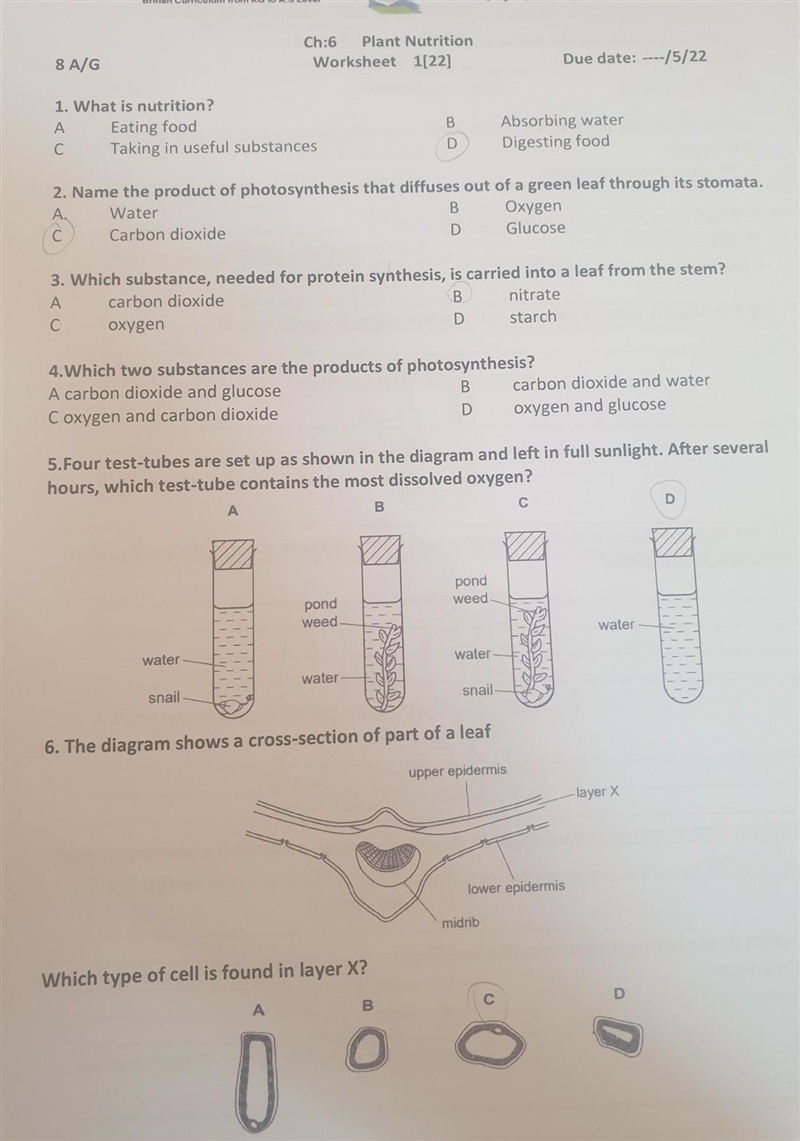 What's the answer please ​-example-1