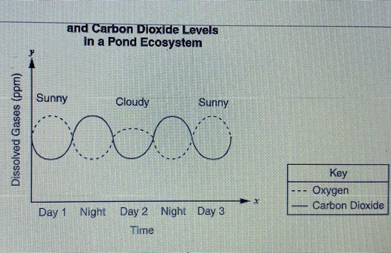 Based on the data, under which conditions did the rate of photosynthesis decline? Select-example-1