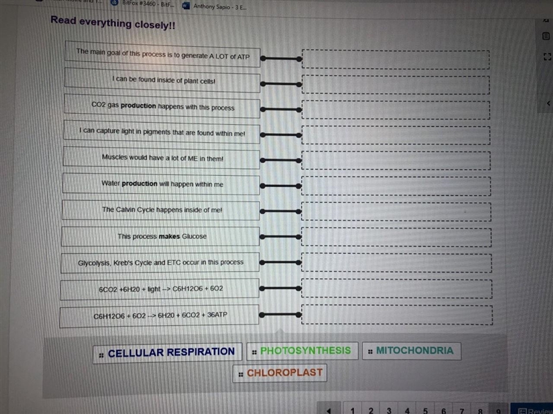 Match each of the hints below to the correct process AND/ or the correct structure-example-1