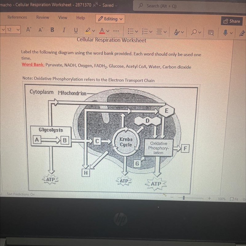 Label the following diagram using the word bank provided-example-1