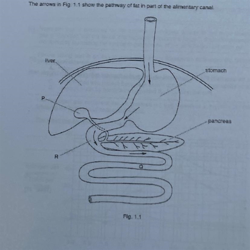 Someone please help the questions are State the name of The liquid that is produced-example-1