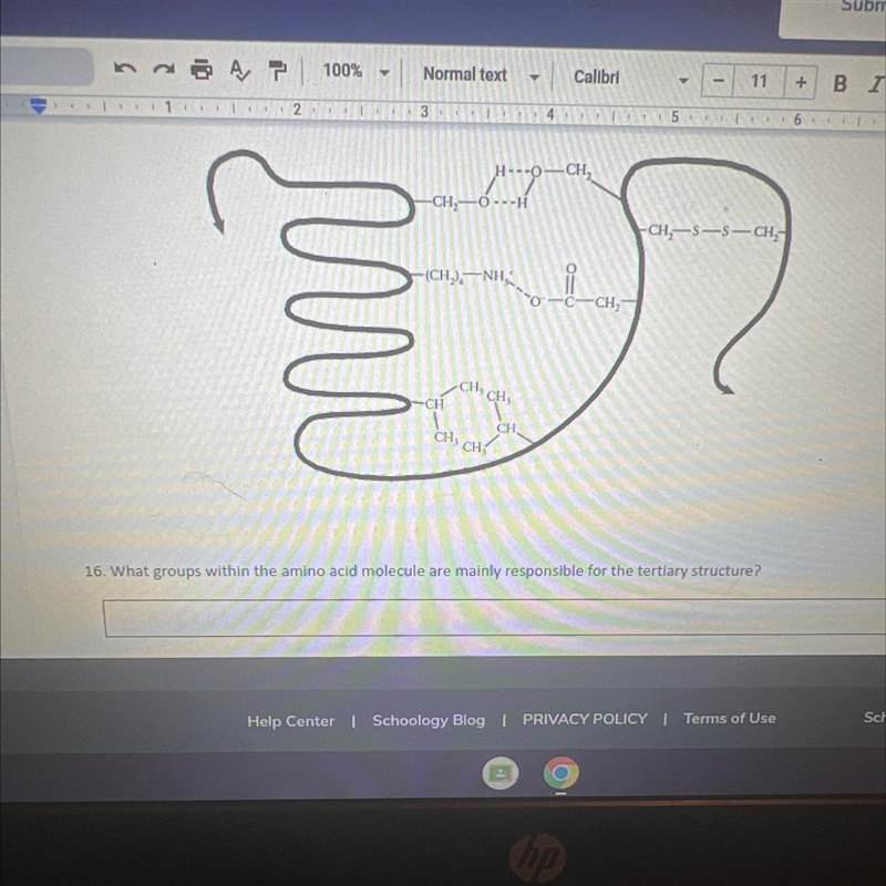 What groups within the amino acid molecule are mainly responsible for the tertiary-example-1