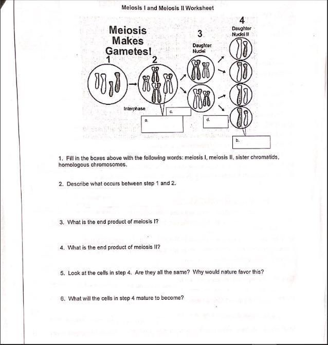 I need help with this-example-1