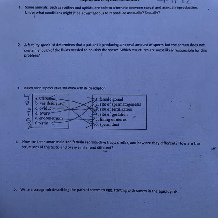 Quickly I need help with this-example-1