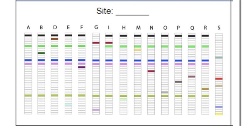 PLEASE HELP FAST I AM ON A TIMER THANK YOU!! When we analyzed haplotypes detected-example-1