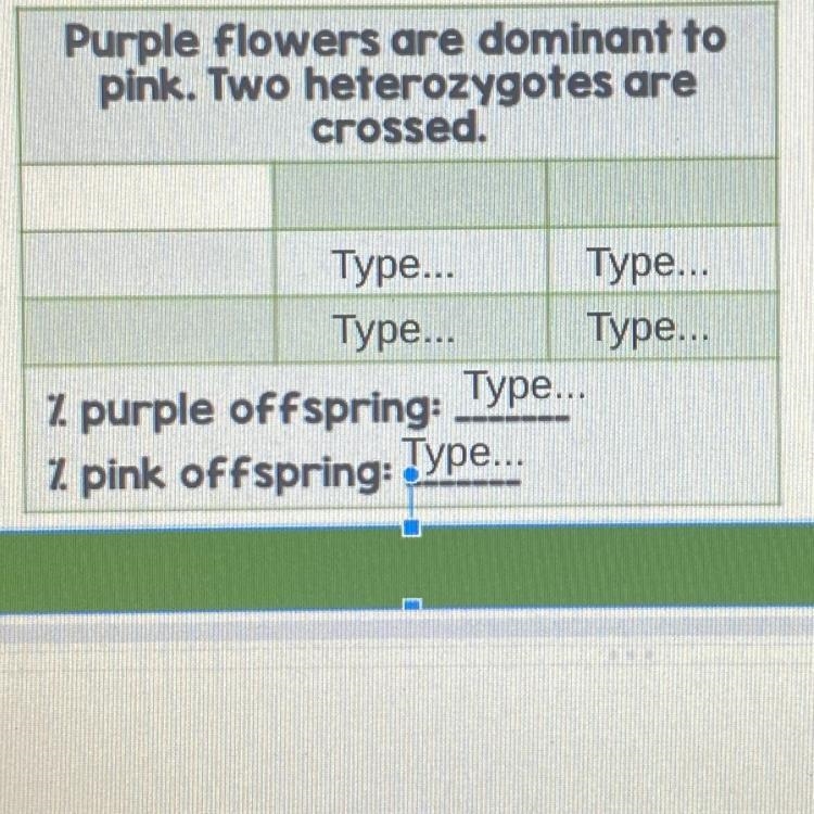 Purple flowers are dominant to pink. Two heterozygotes are crossed. (Punnett square-example-1