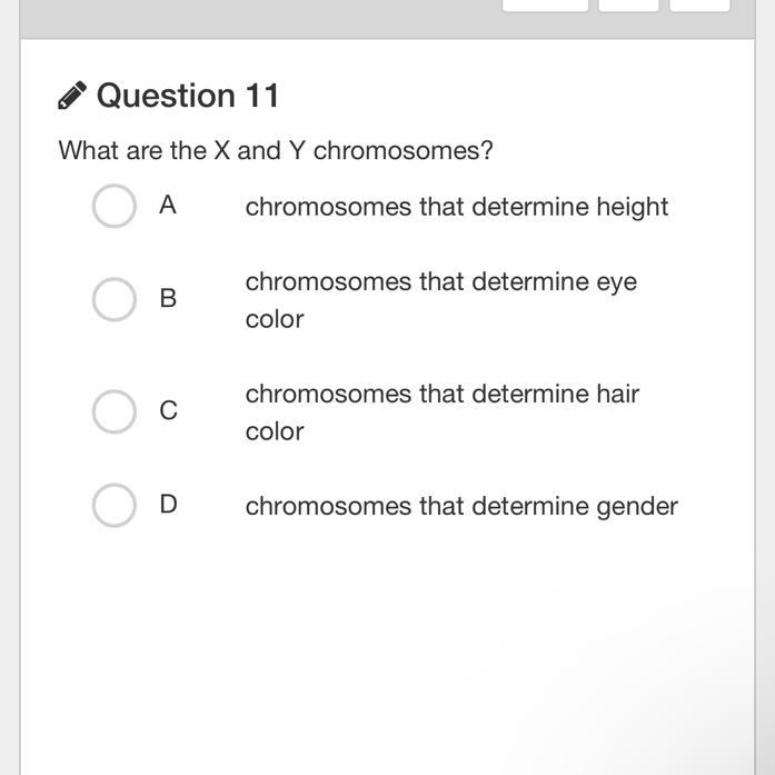 What are the X and Y chromosomes-example-1