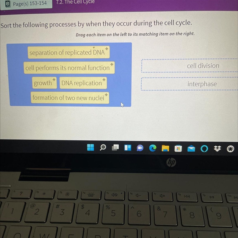 Sort the following processes by when they occur during the cell cycle-example-1