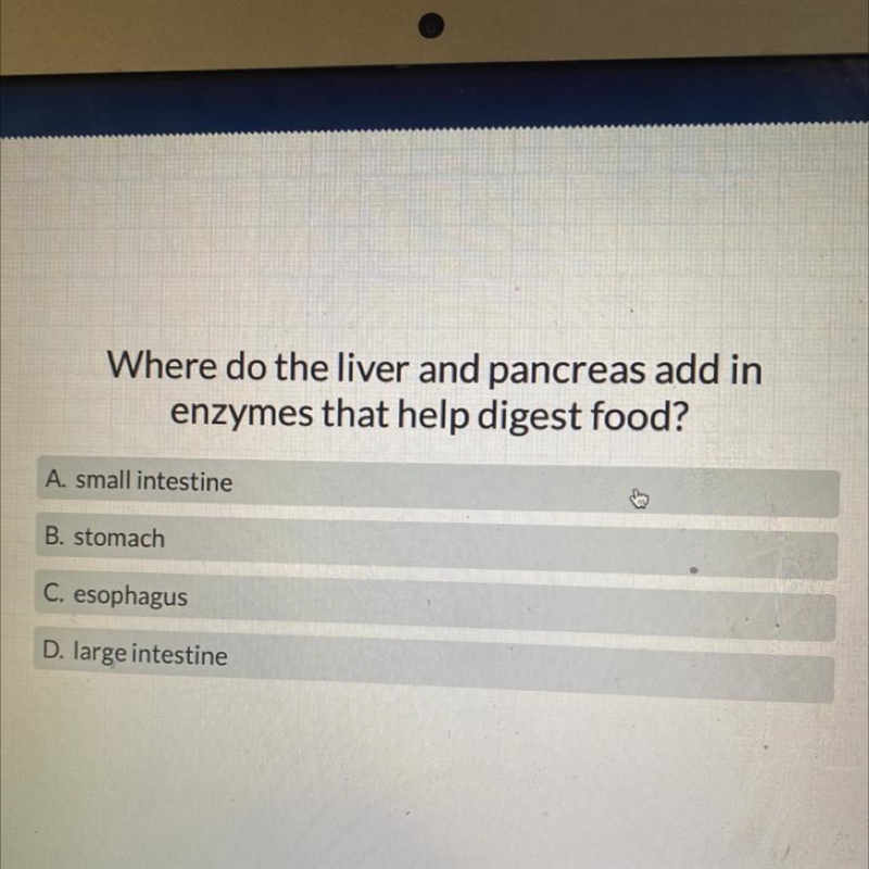 Where do the liver and pancreas add in enzymes that help digest food?-example-1