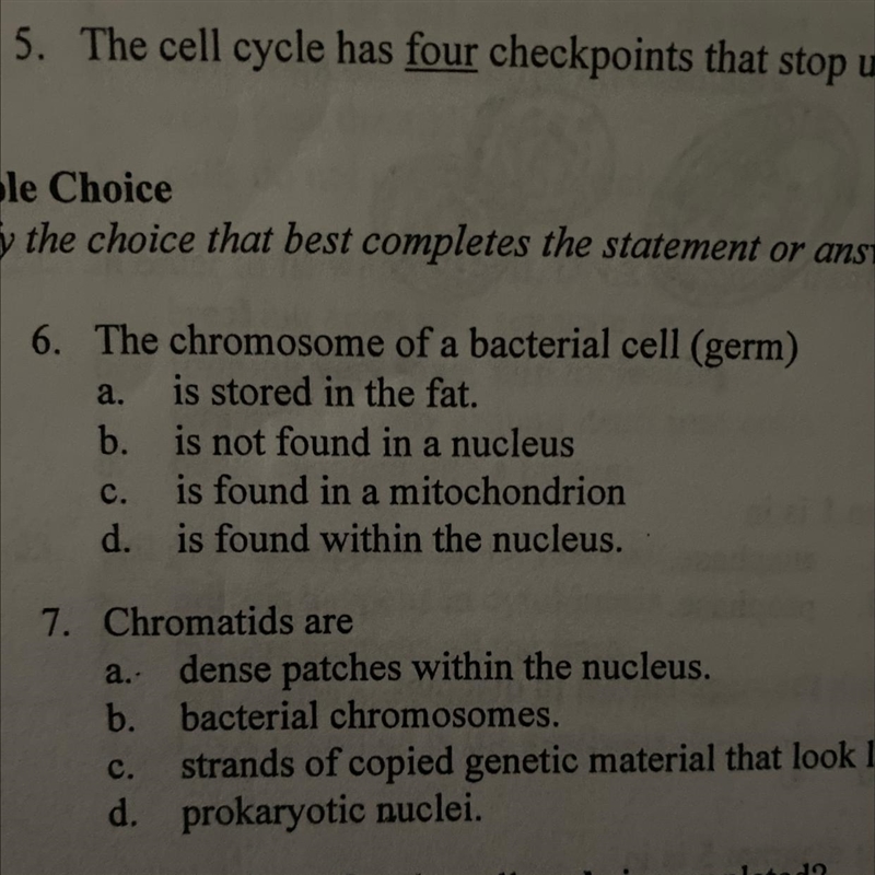 6. The chromosome of bacterial cell (germs) A. is stored in the fat B. is not found-example-1