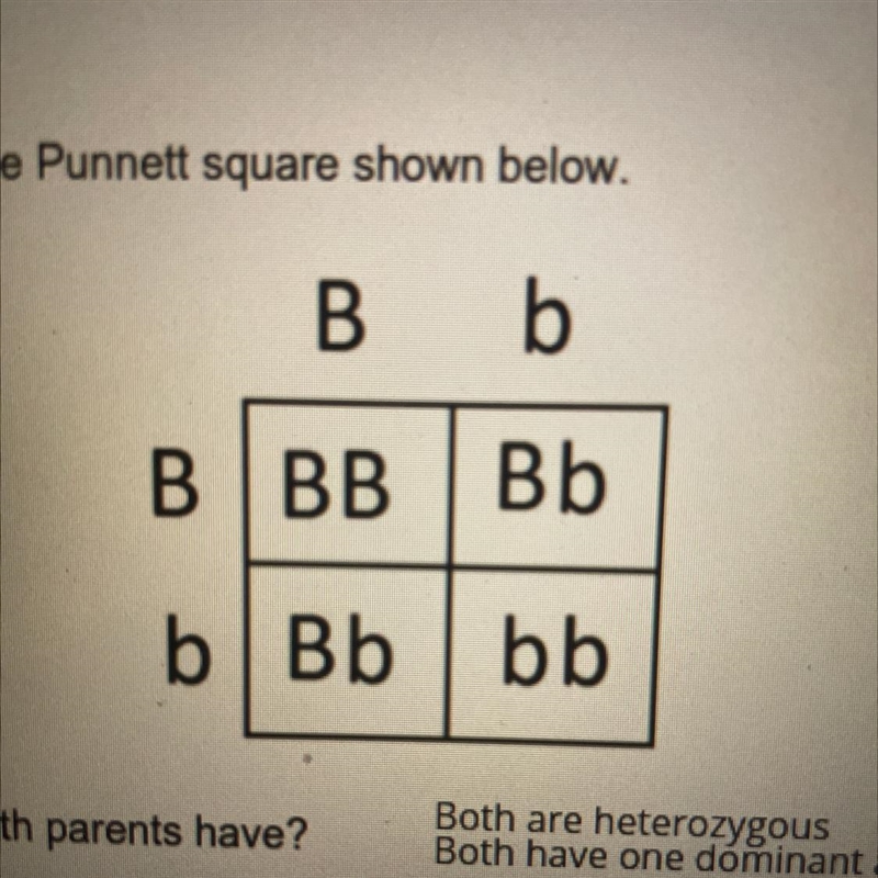 If b is a recessive gene list the offspring that will exhibit a short recessive trait-example-1