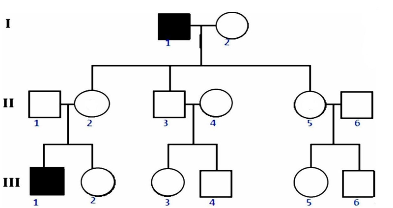 Hemophilia is a genetic blood disorder where normal clotting of the blood at the site-example-1